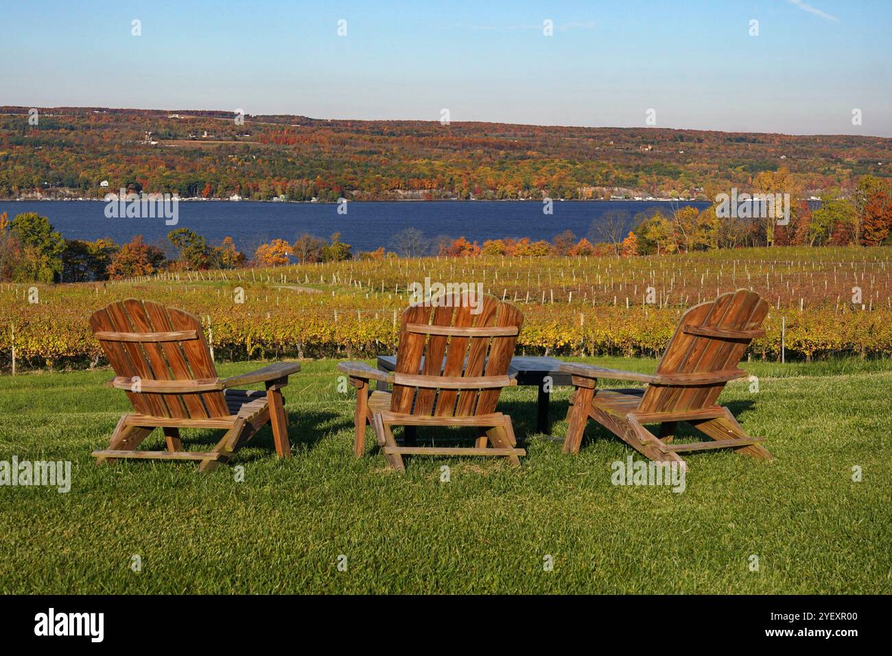 Chaises en bois vides donnant sur un vignoble à New York Banque D'Images