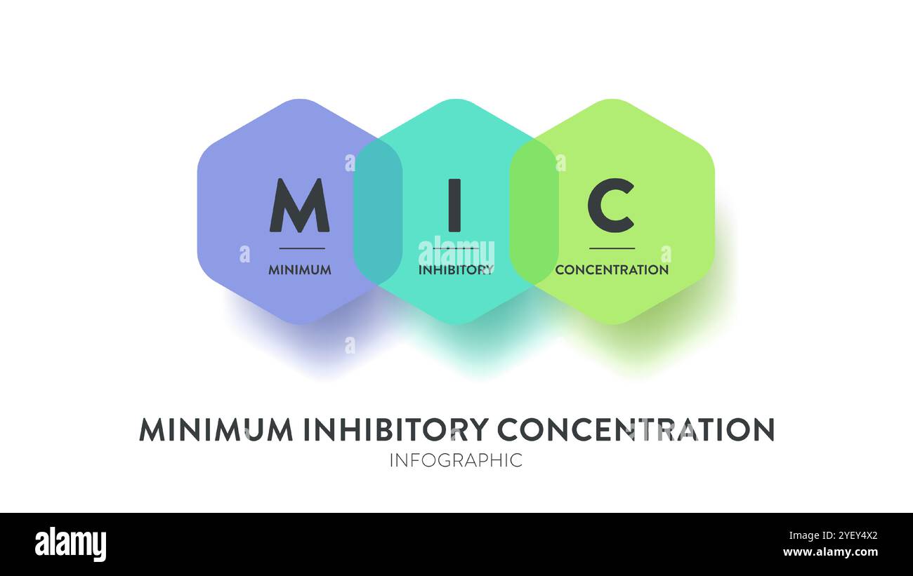 MIC, modèle de bannière de diagramme infographique de stratégie de concentration minimale inhibitrice avec vecteur d'icône pour la présentation, le concentrat de médicament le plus bas Illustration de Vecteur