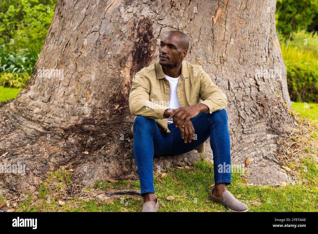 homme afro-américain assis sous l'arbre dans le parc, se détendre et profiter de la nature Banque D'Images