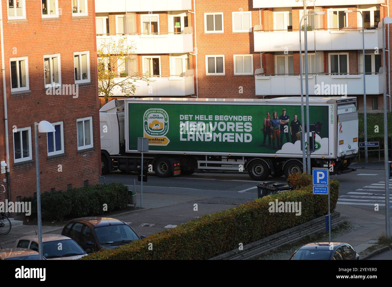 Copenhagen/ Denmark/02 novembre 2024/Aral Milkd livraison de produits Ruck sur la rue alleen Kastrup Copenhagen. Photo. Francis Joseph Dean/Dean images non destinées à un usage commercial Banque D'Images