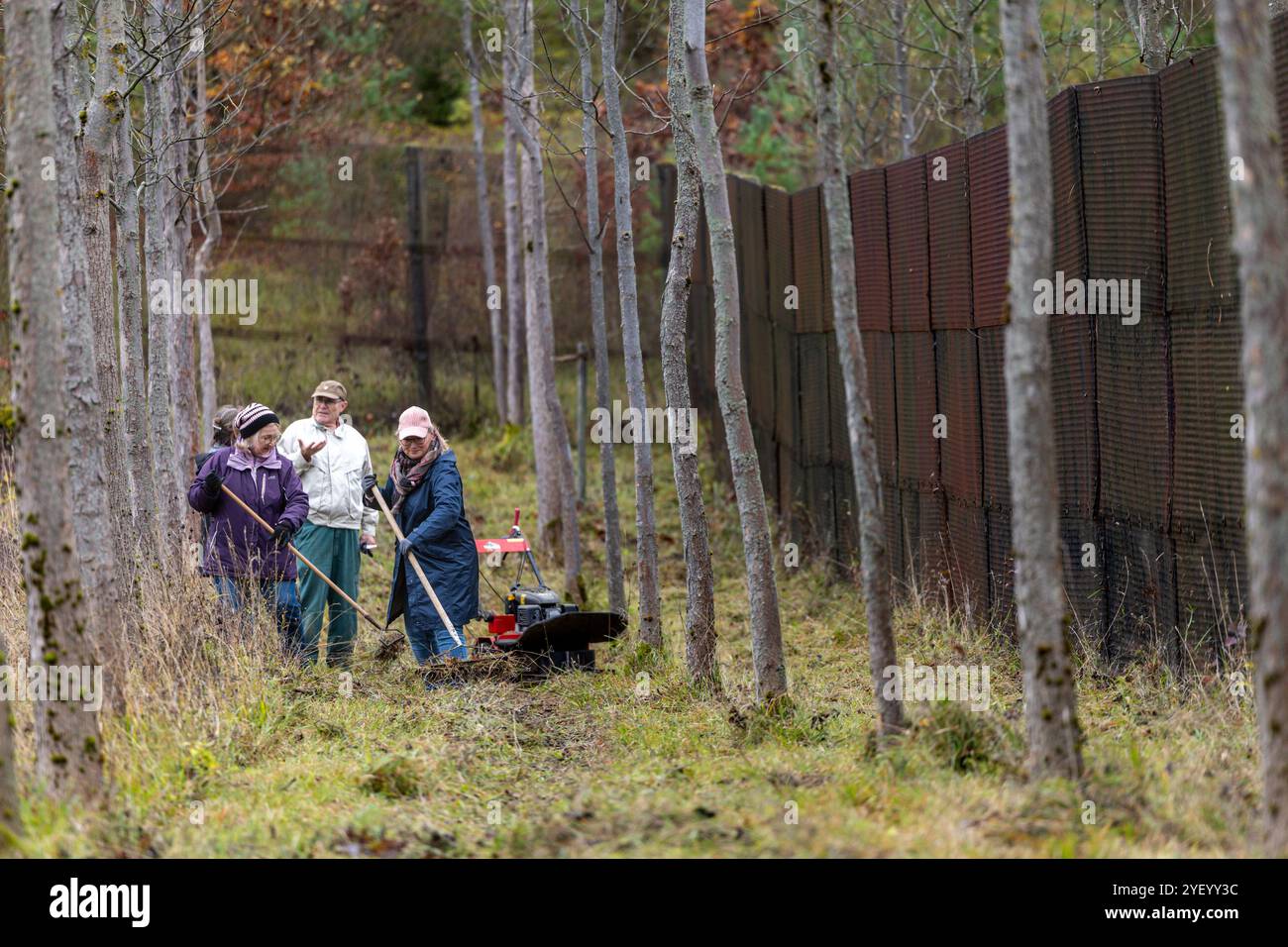 IFTA, Allemagne. 02 novembre 2024. Les aides soutiennent la campagne de plantation d'arbres à la croix d'arbres le long de la clôture frontalière qui se trouve encore ici sur l'ancienne frontière germano-allemande. La croix d'arbre a été créée en 1990 comme lieu de mémoire sur la bande de mort de la frontière germano-allemande. Plus d'arbres sont plantés chaque année le premier week-end de novembre. Crédit : Michael Reichel/dpa/Alamy Live News Banque D'Images