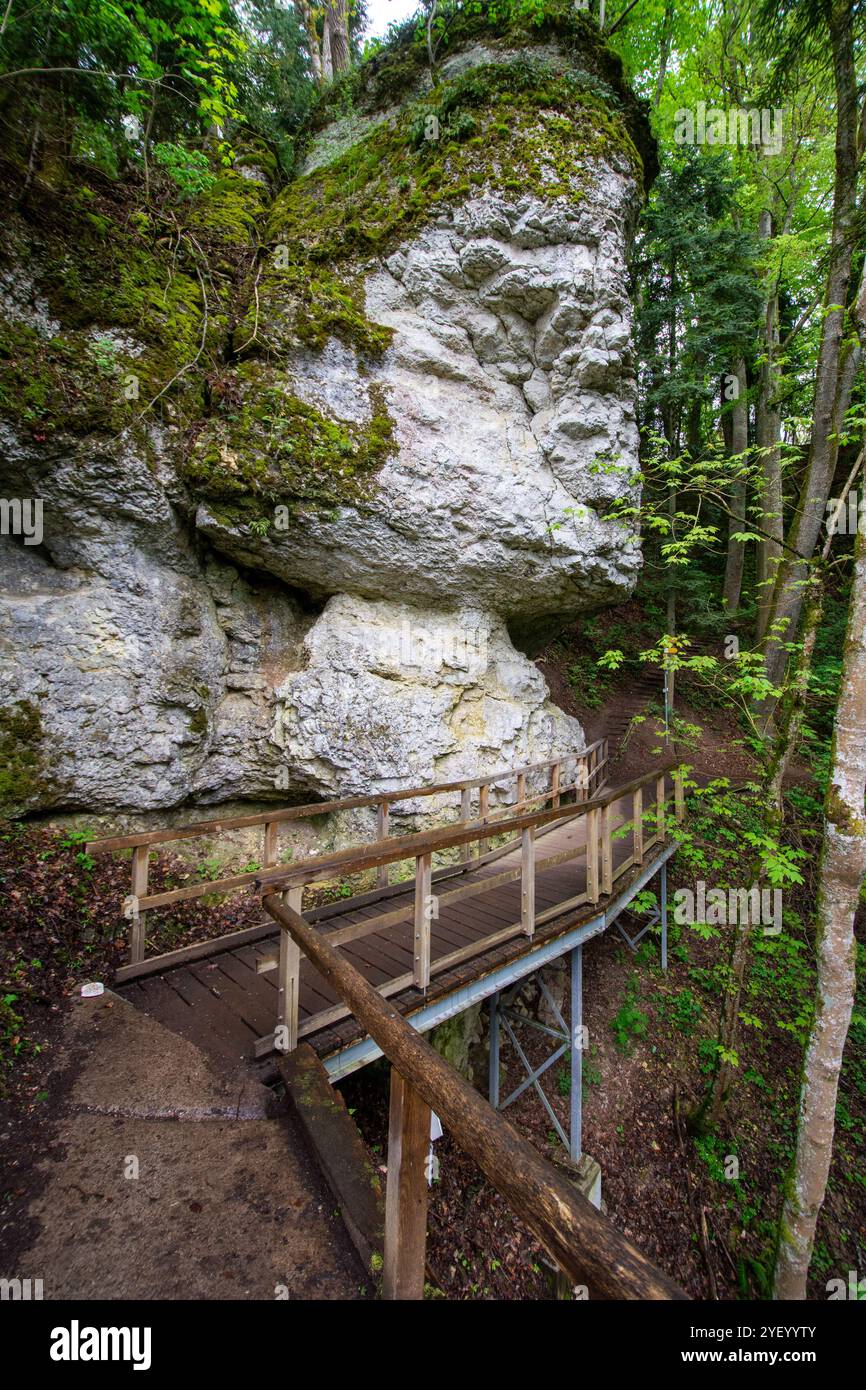 Sentier de randonnée et rochers à Klosterfelsenweg près du parc princier d'Inzigkofen, parc naturel du Danube supérieur, Bade-Wuerttemberg, Allemagne. Banque D'Images