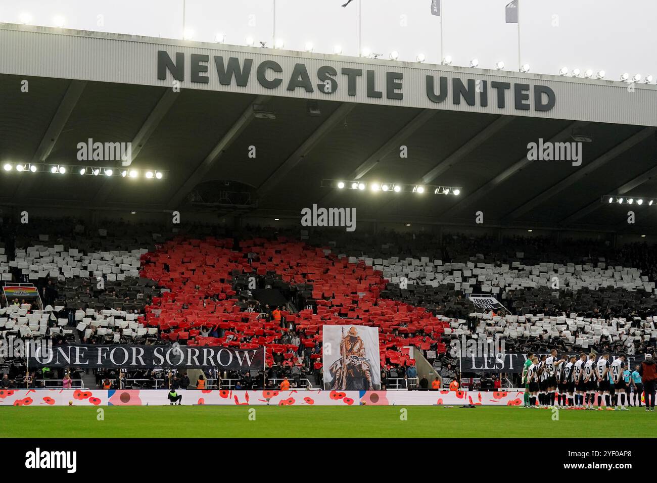 Les fans dans les gradins créent un coquelicot géant avant le jour du souvenir le 11 novembre, avant le match de premier League à St James' Park, Newcastle. Date de la photo : samedi 2 novembre 2024. Banque D'Images