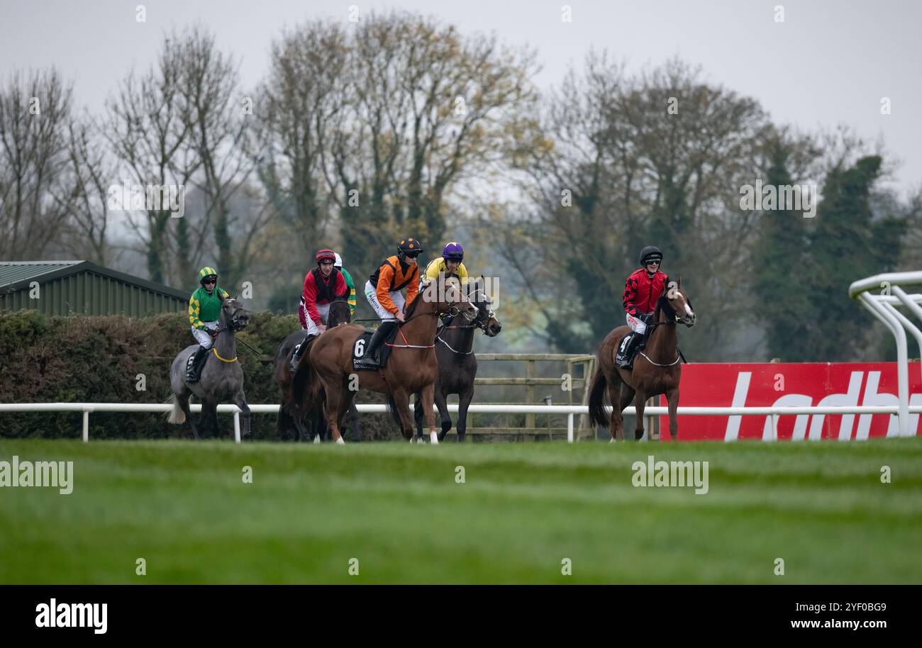 Down Royal, Irlande du Nord. Samedi 2 novembre 2024. Prairie Angel et Danny Mullins remportent le 3-Y-O haie du conseil municipal de Lisburn et Castlereagh pour l'entraîneur Joseph Patrick O'Brien et les propriétaires Sean Sweeney & Kieran O'Hare crédit : JTW Equine images/Alamy Live News crédit : JTW Equine images/Alamy Live News crédit : JTW Equine images/Alamy Live News Banque D'Images