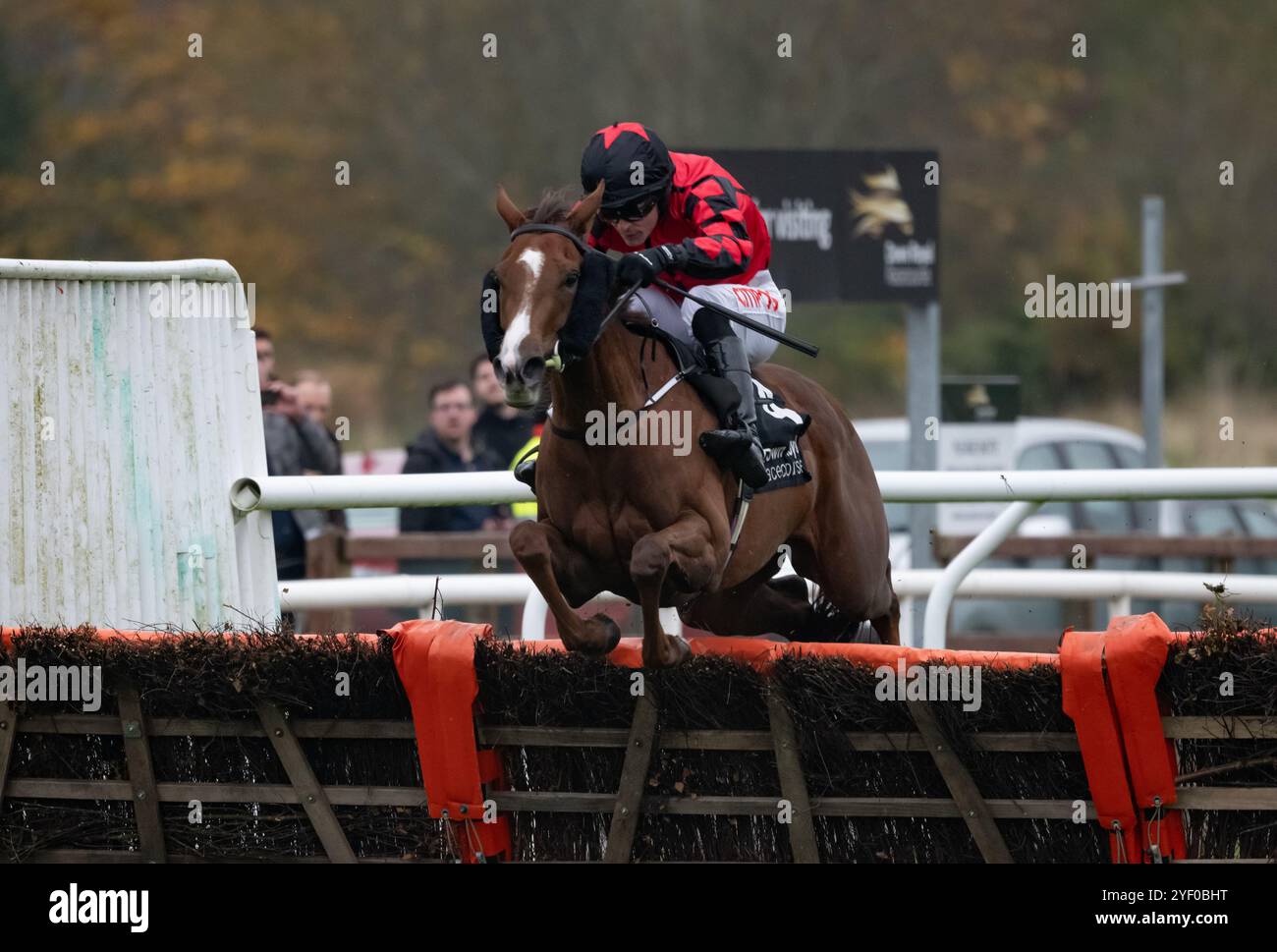 Down Royal, Irlande du Nord. Samedi 2 novembre 2024. Prairie Angel et Danny Mullins remportent le 3-Y-O haie du conseil municipal de Lisburn et Castlereagh pour l'entraîneur Joseph Patrick O'Brien et les propriétaires Sean Sweeney & Kieran O'Hare crédit : JTW Equine images/Alamy Live News crédit : JTW Equine images/Alamy Live News crédit : JTW Equine images/Alamy Live News Banque D'Images