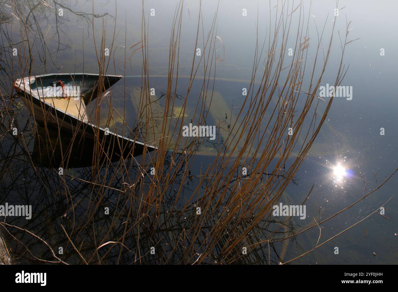 Bateau en bois partiellement immergé dans un lac, Parc naturel des lacs Avigliana, Turin, Italie Banque D'Images