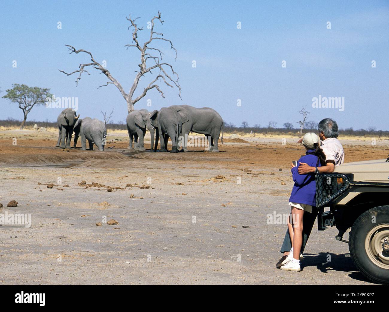 Père et fille appuyés contre un 4x4 regardant des éléphants lors d'une sortie de match tôt le matin, Botswana Banque D'Images