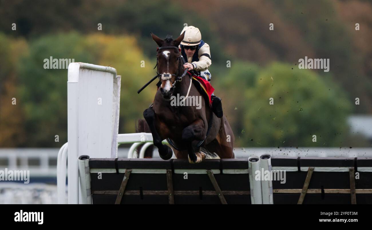 Ascot, Royaume-Uni, samedi 2 novembre 2024 ; Clap of Thunder et le jockey Sam Twiston-Davies remportent la haie des novices de GL Events pour l'entraîneur Nigel Twiston-Davies et le propriétaire Dash Grange Stud Crédit JTW Equine images / Alamy Live News. Banque D'Images