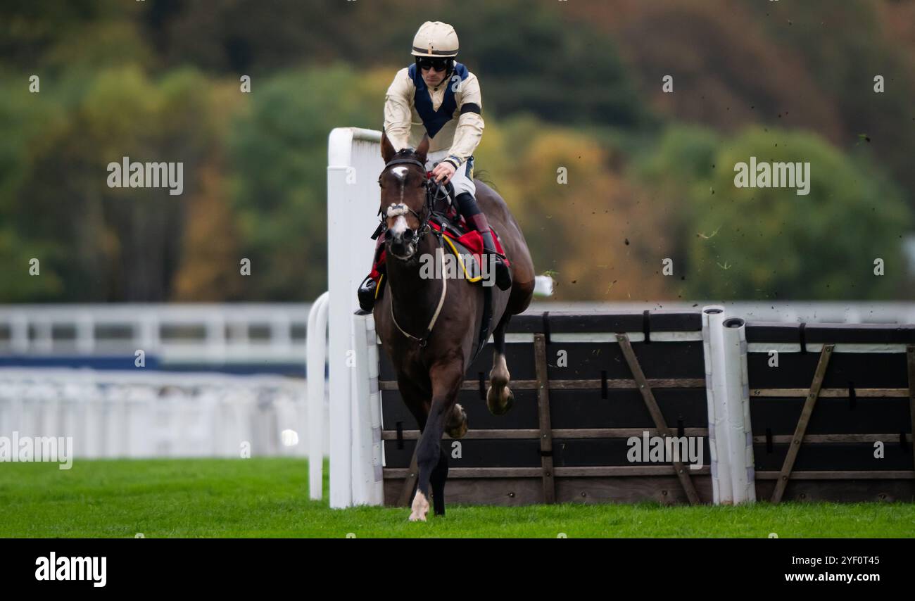 Ascot, Royaume-Uni, samedi 2 novembre 2024 ; Clap of Thunder et le jockey Sam Twiston-Davies remportent la haie des novices de GL Events pour l'entraîneur Nigel Twiston-Davies et le propriétaire Dash Grange Stud Crédit JTW Equine images / Alamy Live News. Banque D'Images