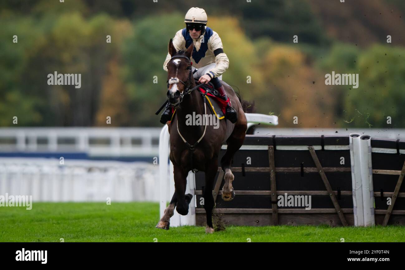 Ascot, Royaume-Uni, samedi 2 novembre 2024 ; Clap of Thunder et le jockey Sam Twiston-Davies remportent la haie des novices de GL Events pour l'entraîneur Nigel Twiston-Davies et le propriétaire Dash Grange Stud Crédit JTW Equine images / Alamy Live News. Banque D'Images