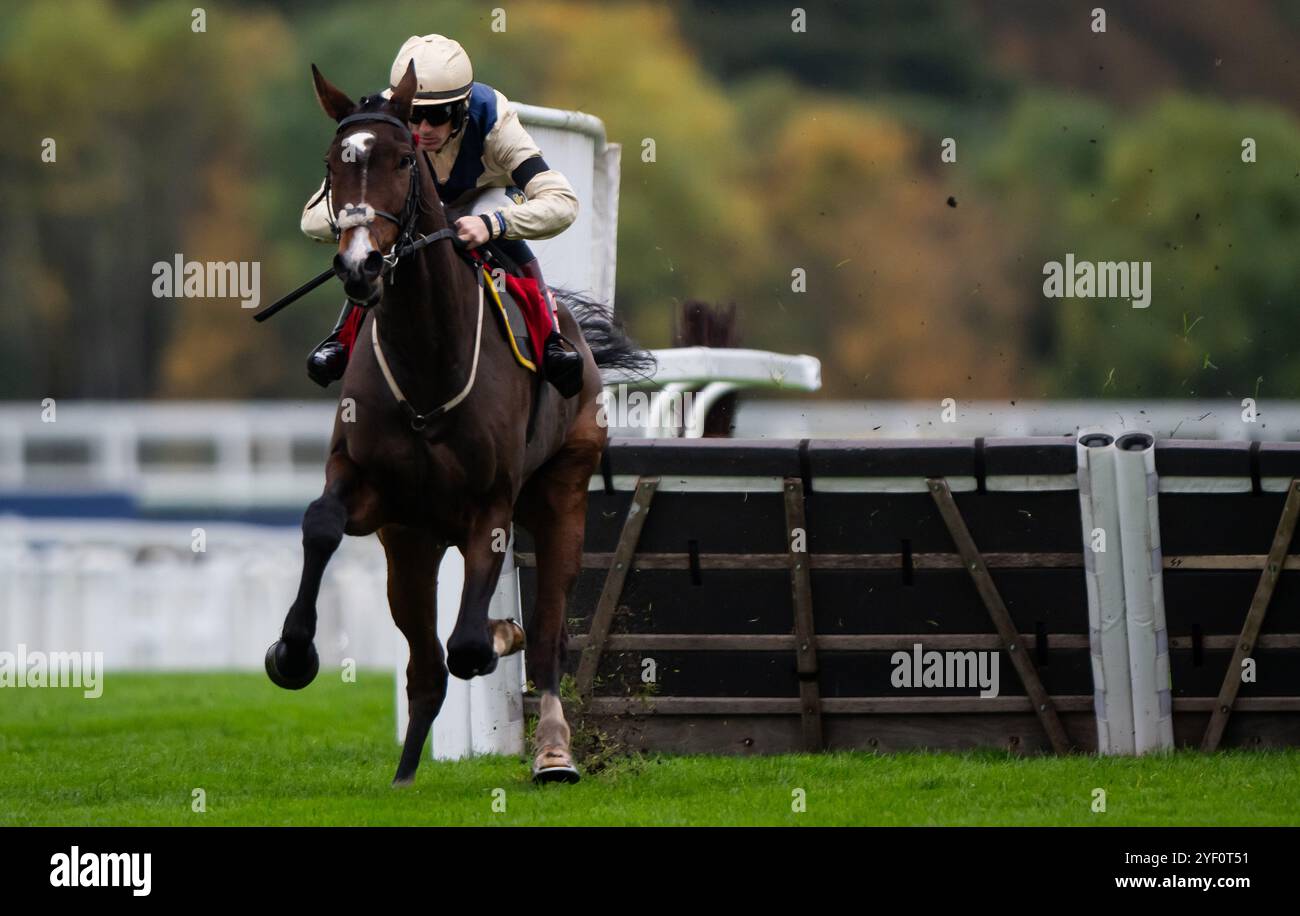 Ascot, Royaume-Uni, samedi 2 novembre 2024 ; Clap of Thunder et le jockey Sam Twiston-Davies remportent la haie des novices de GL Events pour l'entraîneur Nigel Twiston-Davies et le propriétaire Dash Grange Stud Crédit JTW Equine images / Alamy Live News. Banque D'Images