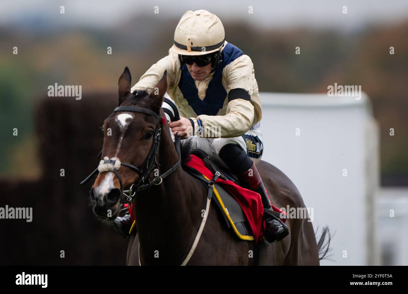 Ascot, Royaume-Uni, samedi 2 novembre 2024 ; Clap of Thunder et le jockey Sam Twiston-Davies remportent la haie des novices de GL Events pour l'entraîneur Nigel Twiston-Davies et le propriétaire Dash Grange Stud Crédit JTW Equine images / Alamy Live News. Banque D'Images