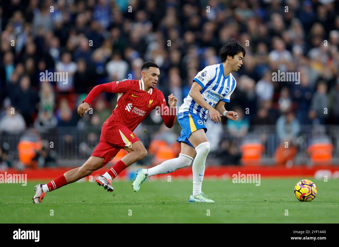 Kaoru Mitoma de Brighton & Hove Albion (à droite) et Trent Alexander-Arnold de Liverpool (à gauche) se battent pour le ballon lors du match de premier League à Anfield, Liverpool. Date de la photo : samedi 2 novembre 2024. Banque D'Images