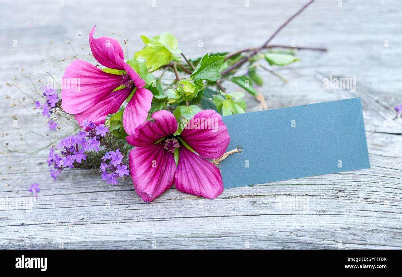Fleurs de mauve rose, fleurs de verveine violettes et carte bleue avec espace de copie Banque D'Images
