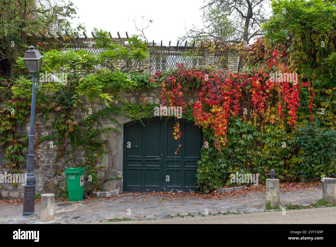 Belles couleurs d'automne. Lierre commune autour d'une porte en bois vert à Montmartre, le 18ème arrondissement de Paris Banque D'Images