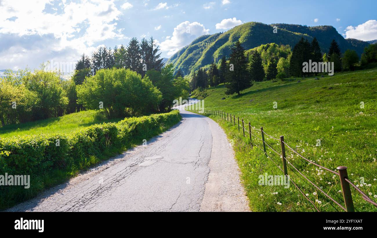 Route sinueuse dans la campagne Banque D'Images