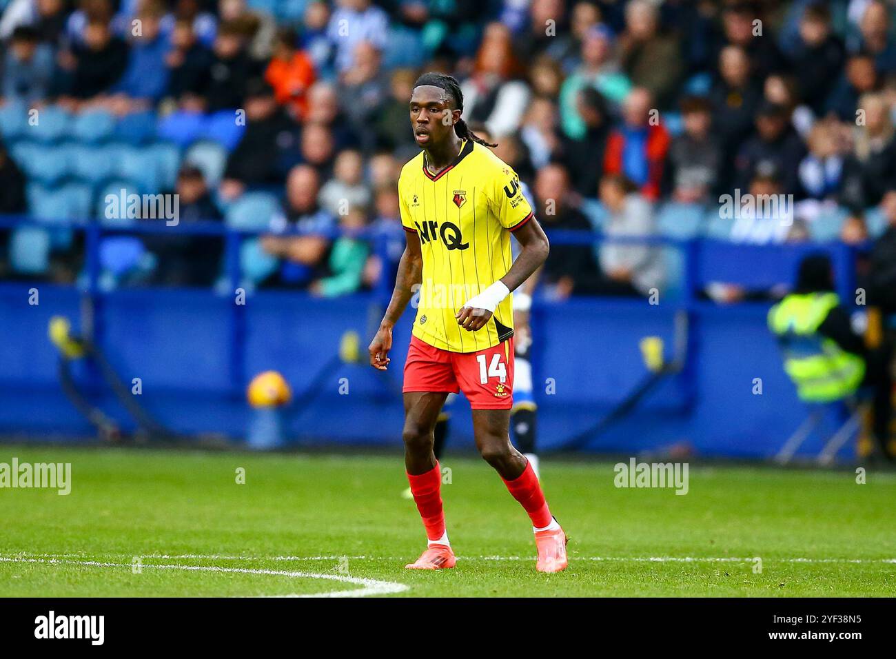 Hillsborough Stadium, Sheffield, Angleterre - 2 novembre 2024 Pierre Dwomoh (14) de Watford - pendant le match Sheffield Wednesday v Watford, EFL Championship, 2024/25, Hillsborough Stadium, Sheffield, Angleterre - 2 novembre 2024 crédit : Arthur Haigh/WhiteRosePhotos/Alamy Live News Banque D'Images