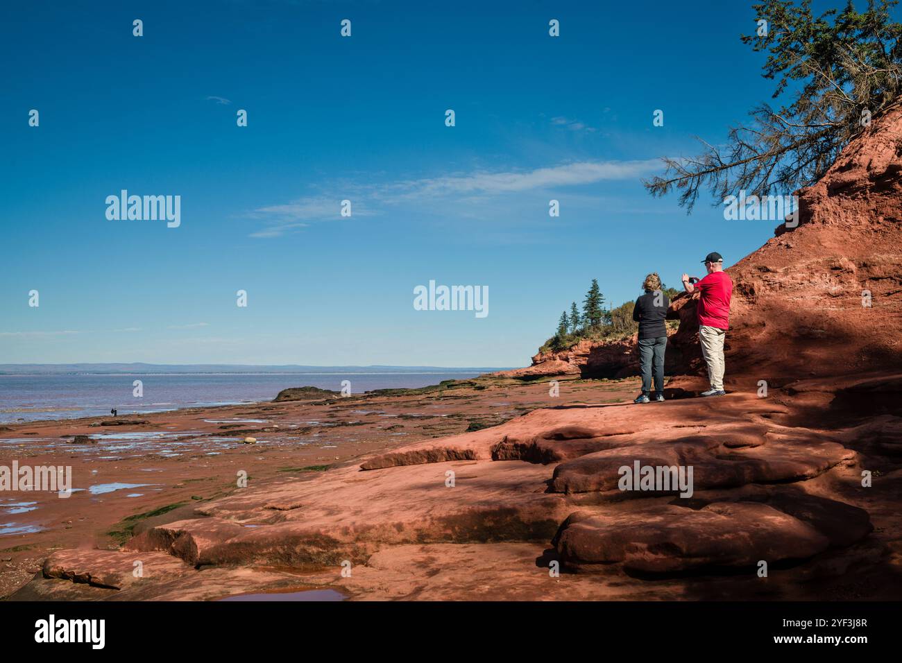 Parc Burntcoat Head   Maitland, Nouvelle-Écosse, CAN Banque D'Images