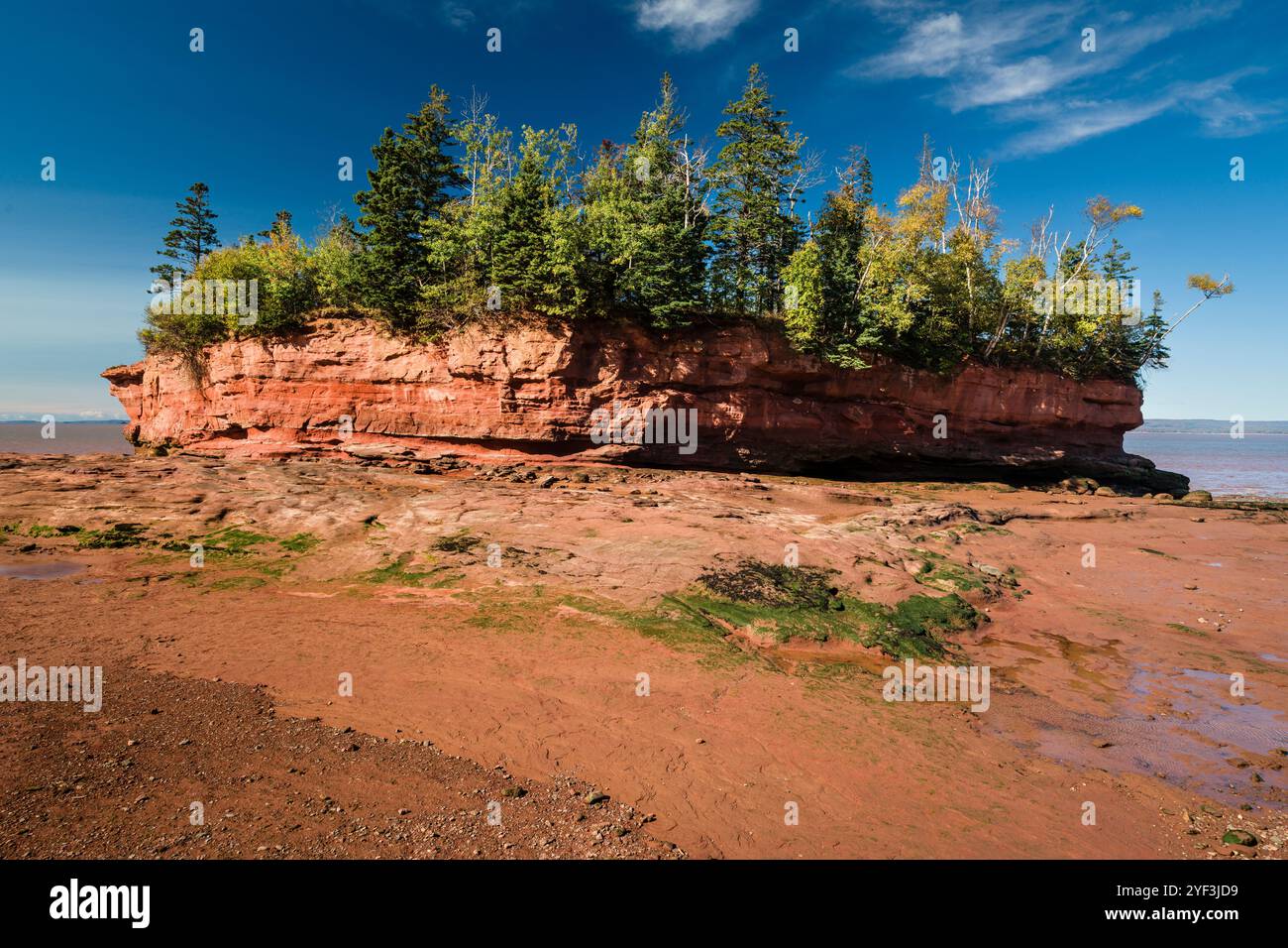 Parc Burntcoat Head   Maitland, Nouvelle-Écosse, CAN Banque D'Images
