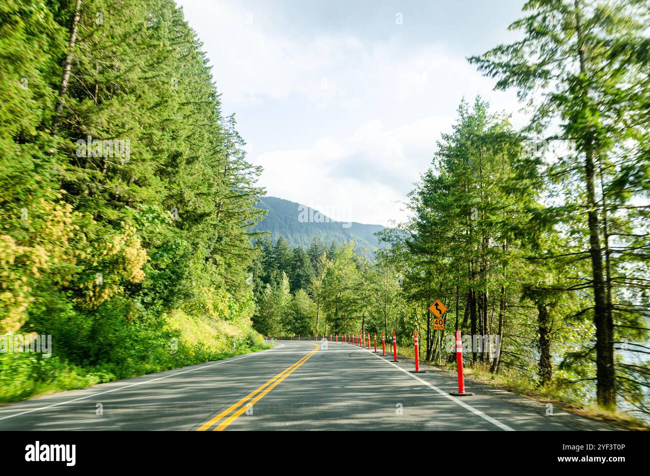 Route du parc du lac Cultus bordée de pins à Chilliwack, vallée du Fraser, Colombie-Britannique, Canada Banque D'Images