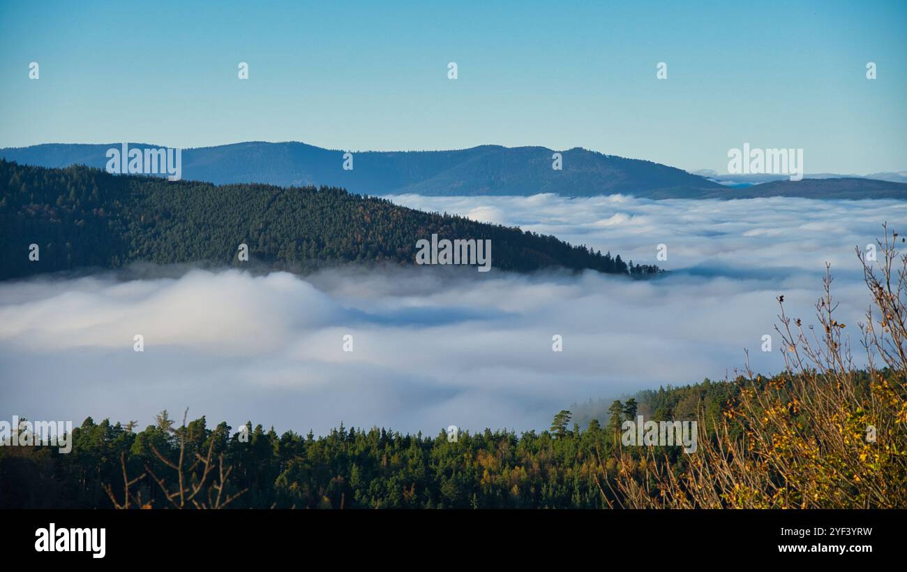 Brouillard dans les vallées des Vosges en France Banque D'Images