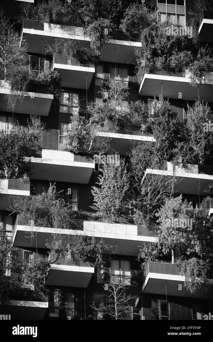 Milan , ITALIA - 02 nov - 2024 : le Bosco verticale de Milan, deux tours couvertes d'arbres et de plantes, symbolise l'architecture verte dans le coeur de l'île Banque D'Images