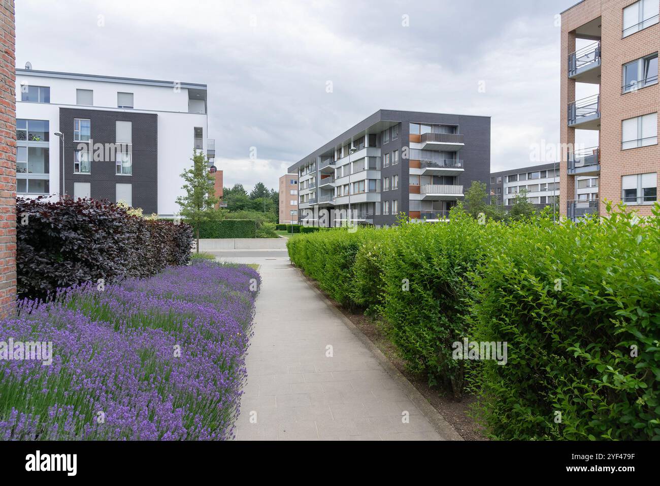 Luxembourg ville, Luxembourg - vue sur un complexe immobilier résidentiel moderne entouré de végétation construit à Kirchberg. Banque D'Images