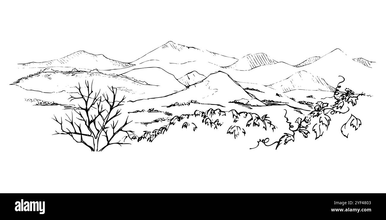 Paysage de paysages de montagnes, plantes de raisins de lierre feuilles d'arbres, pâturage terrain alpin vista dessiné à la main à l'encre, isolé sur blanc. Illustration pour Illustration de Vecteur