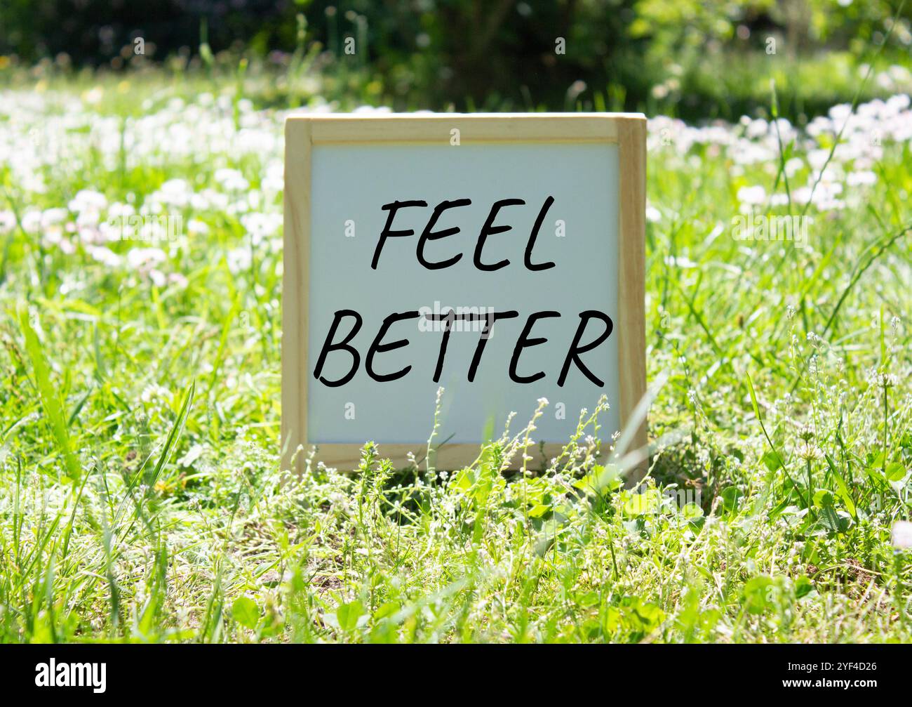 Symbole se sentir mieux. Tableau noir blanc craie avec des mots se sentent mieux. Beau fond de prairie. Business and Feel Better concept. Copier l'espace. Banque D'Images