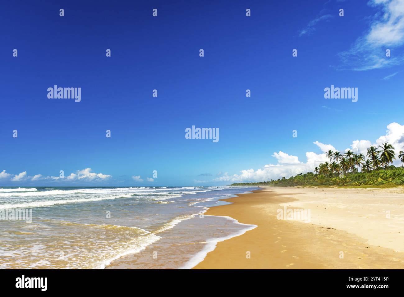 Plage déserte entourée de cocotiers à Serra Grande sur la côte sud de Bahia, Serra Grande / Urucuca, Bahia, Brésil, Amérique du Sud Banque D'Images Plage déserte entourée de cocotiers à Serra Grande sur la côte sud de Bahia, Serra Grande / Urucuca, Bahia, Brésil, Amérique du Sud Banque D'Images