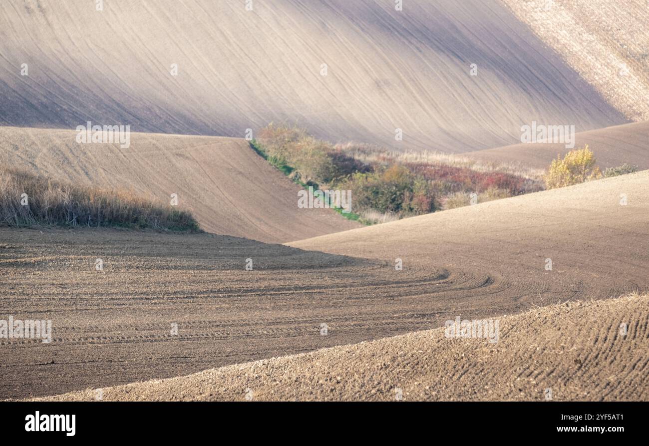 Paysage agricole de cultures arables en automne, dans le sud de la Moravie, République tchèque. La région est connue sous le nom de Toscane morave et est pleine de collines ondoyantes. Banque D'Images