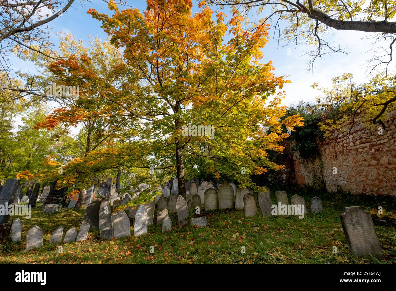 Vieilles pierres tombales dans le cimetière juif de Mikulov, autrefois appelé Nicolsburg, en République tchèque. Mikulov était autrefois un important centre juif. Banque D'Images