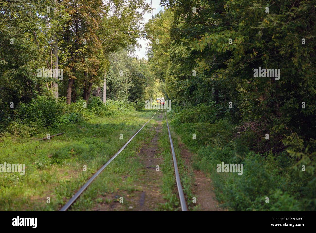 Longues pistes de tramway traversant la forêt de Kiev, Ukraine. Banque D'Images