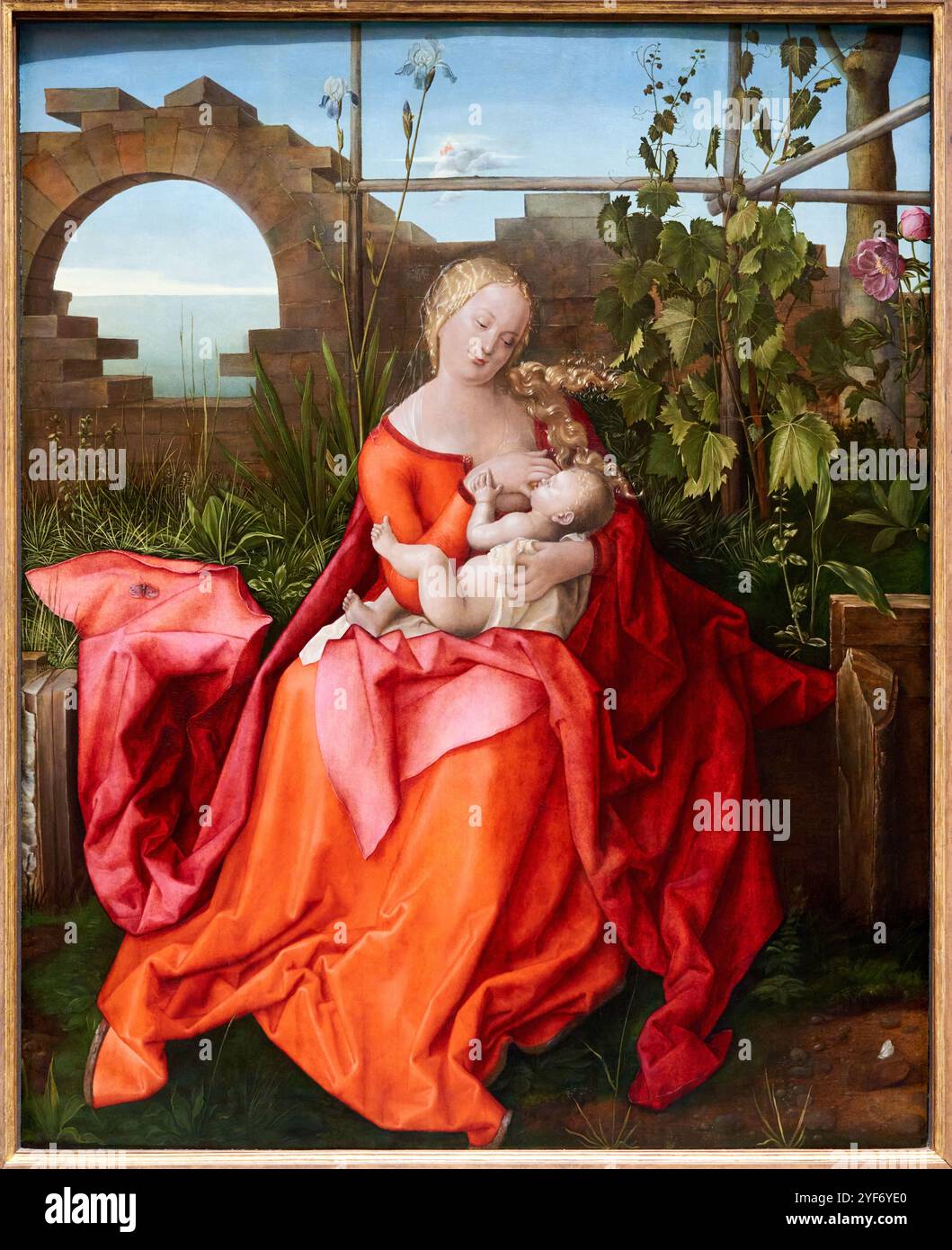 La Vierge à l'enfant ('la Vierge à l'Iris'), vers 1500-1510, Atelier d'Albrecht Dürer,. The National Gallery, Londres, Royaume-Uni. Banque D'Images