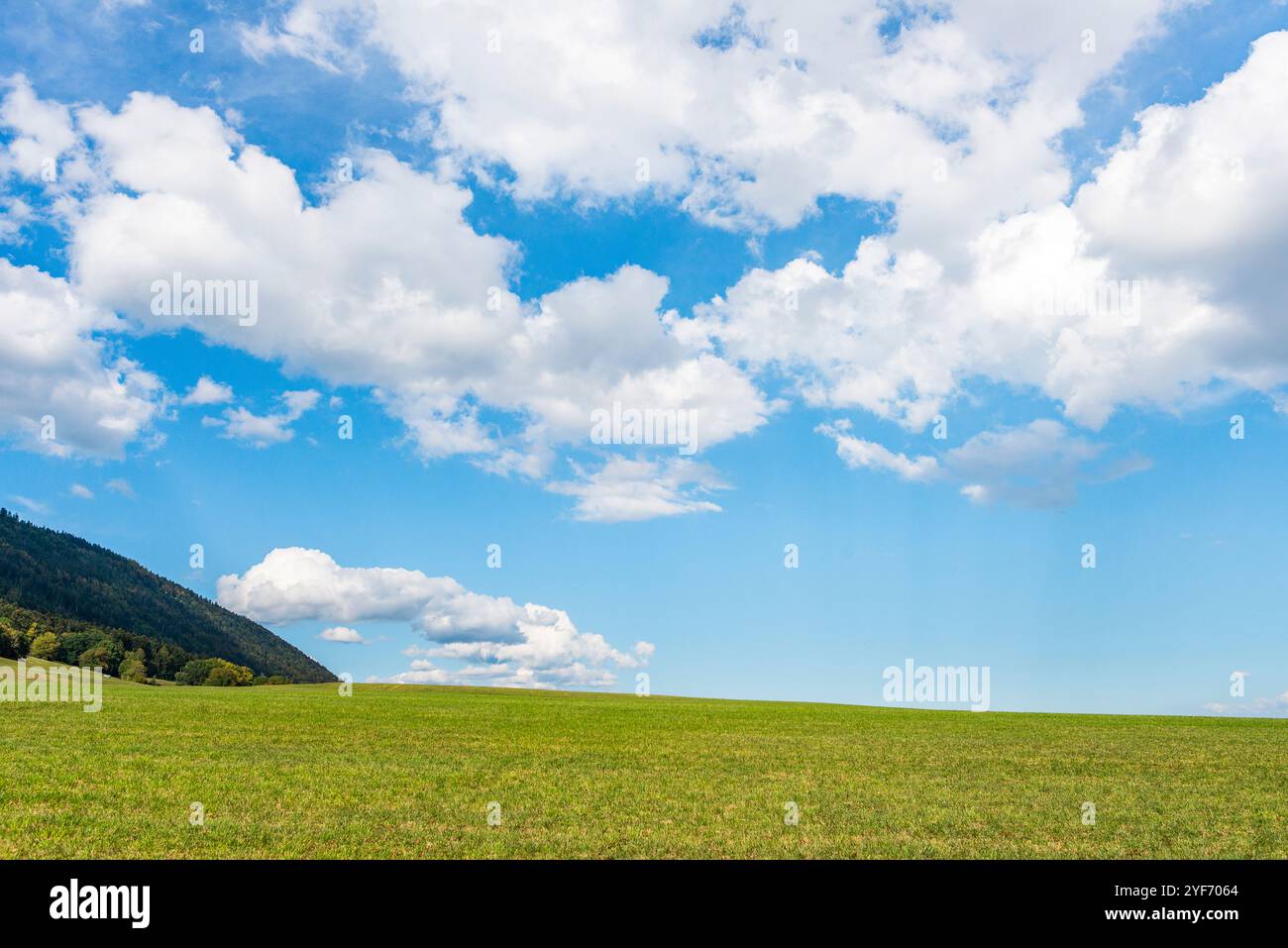 Paysage agricole au pied du Jura, Vaud Banque D'Images