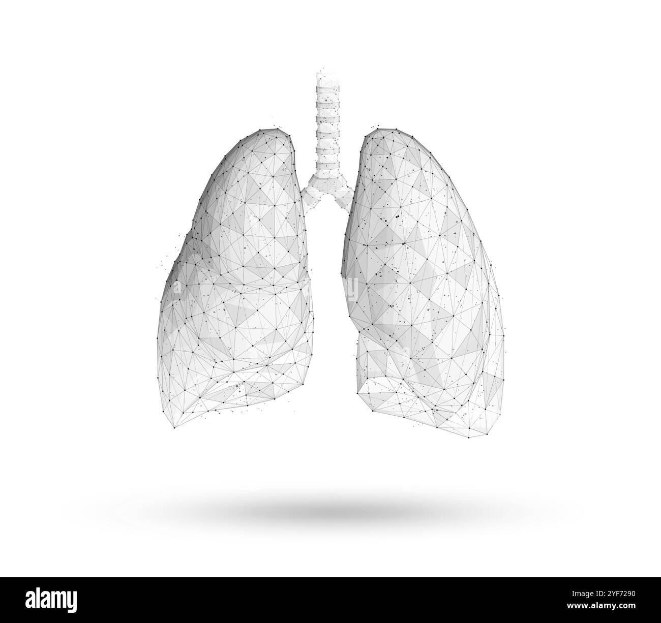 Poumon. Vecteur abstrait poumons 3d isolés sur blanc. Santé humaine, système respiratoire, maladie de pneumonie, science de la biologie, asthme de fumeur, soins de santé Illustration de Vecteur