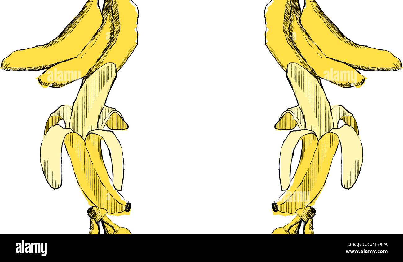 Modèle de vecteur de banane de fruits. Motif de bordure verticale sans couture dans le graphique. Illustration abstraite de fruits. Illustration de Vecteur