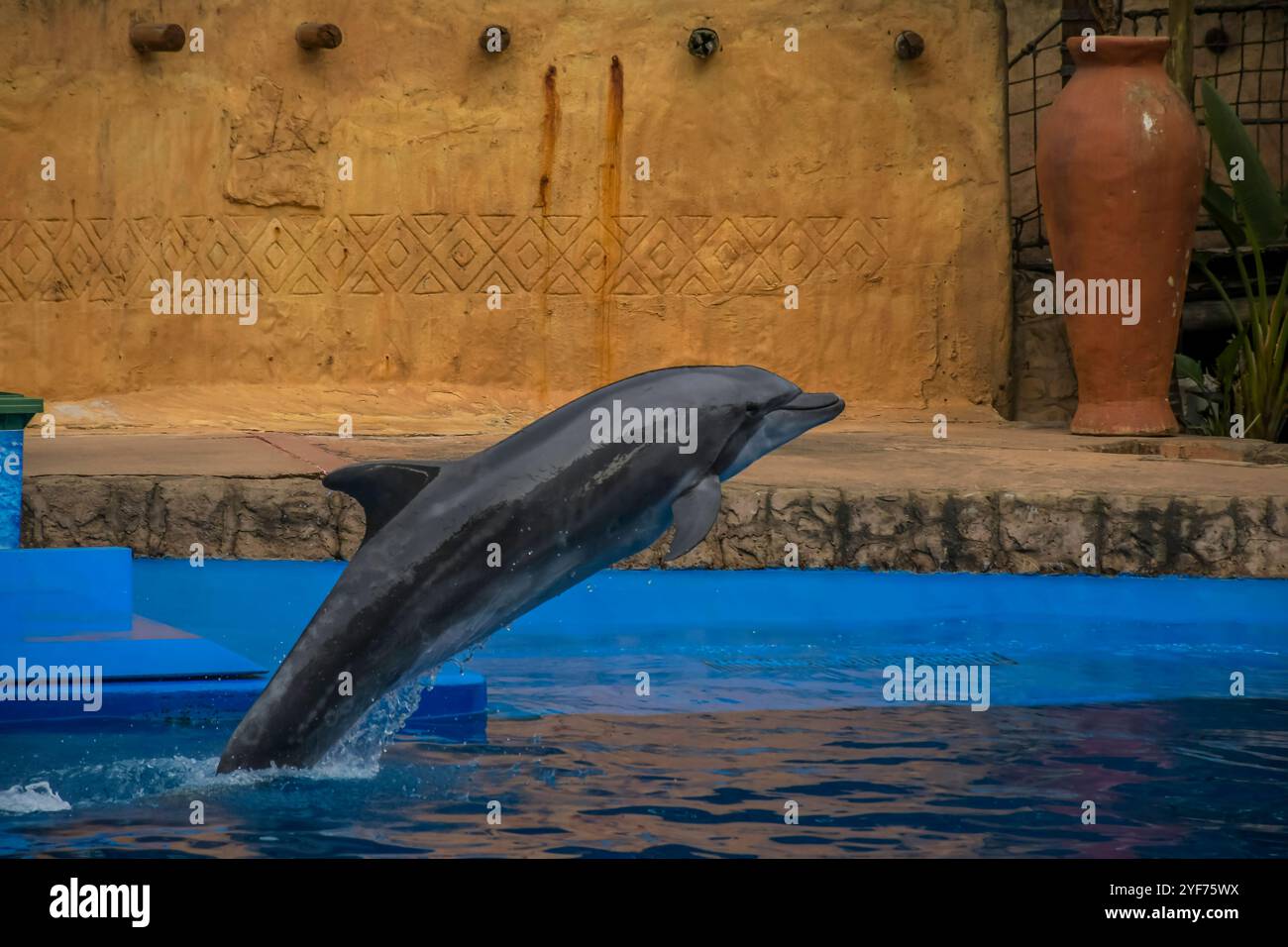 Ushaka monde marin un aquarium naufré à Durban Banque D'Images