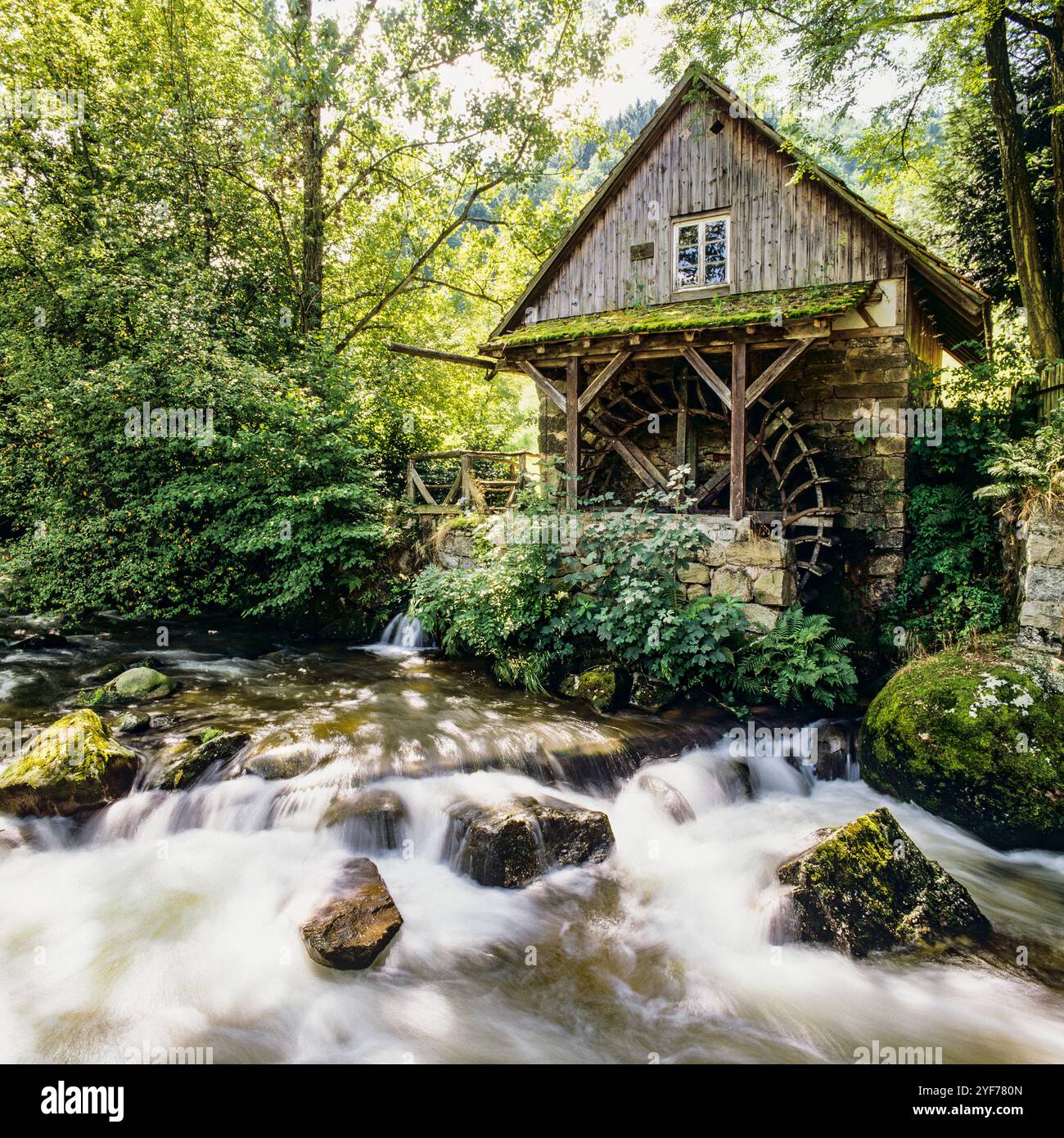 Moulin à eau vintage Mühle am Rain, construit 1875, rivière, Forêt Noire, Bade-Württemberg, Allemagne, Europe, Banque D'Images