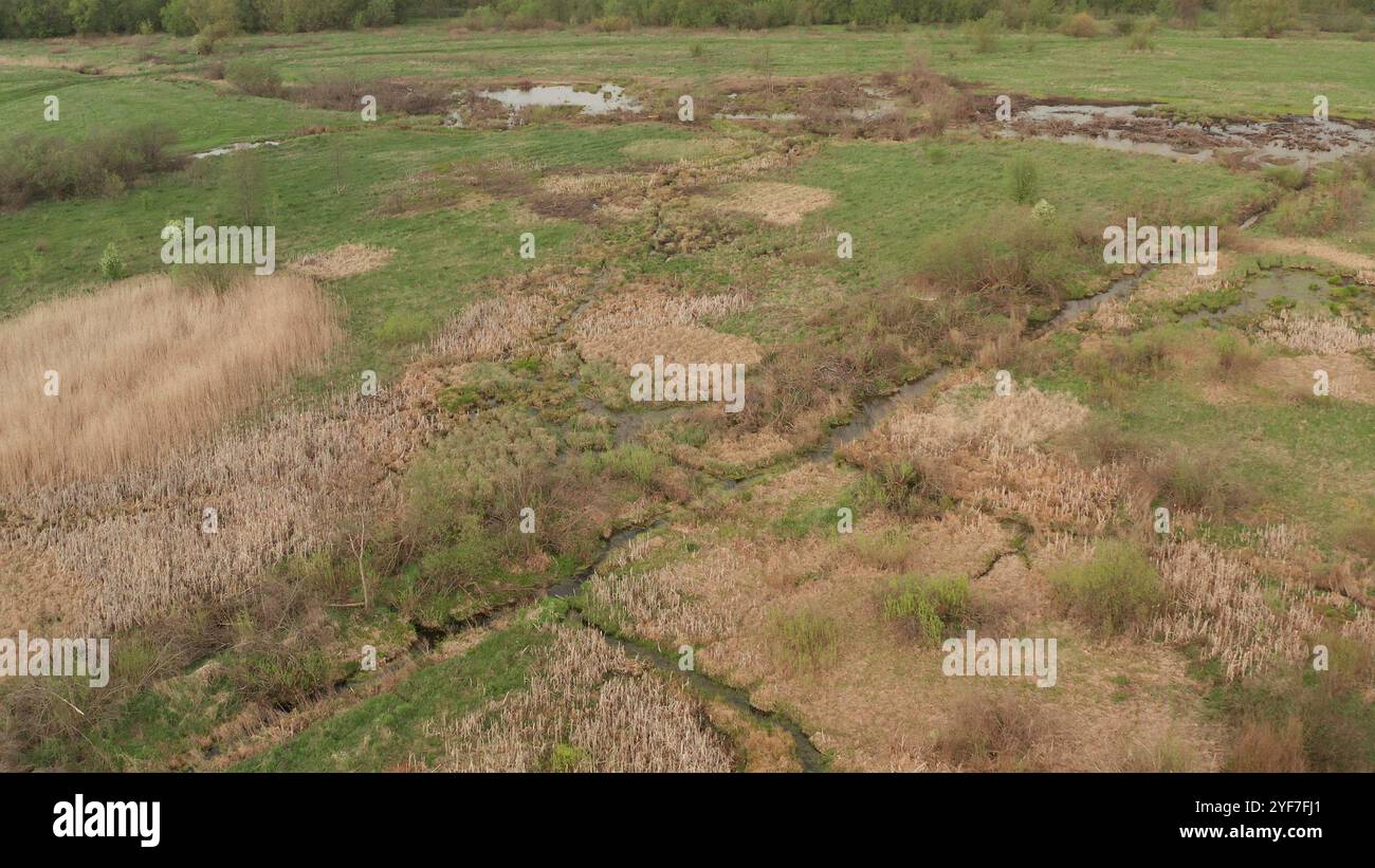 Zones humides. Enregistrement vidéo à partir d'un quadrocoptère. Tourbières près du marais. Banque D'Images