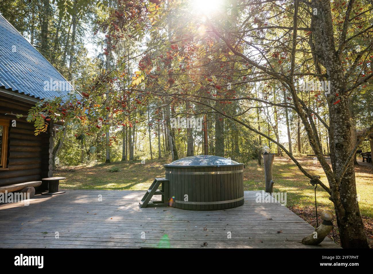 Une terrasse en bois dispose d'un bain à remous rond entouré d'une végétation luxuriante et de grands arbres. La lumière du soleil filtre à travers les branches, avec une cabine rustique partiellement vi Banque D'Images