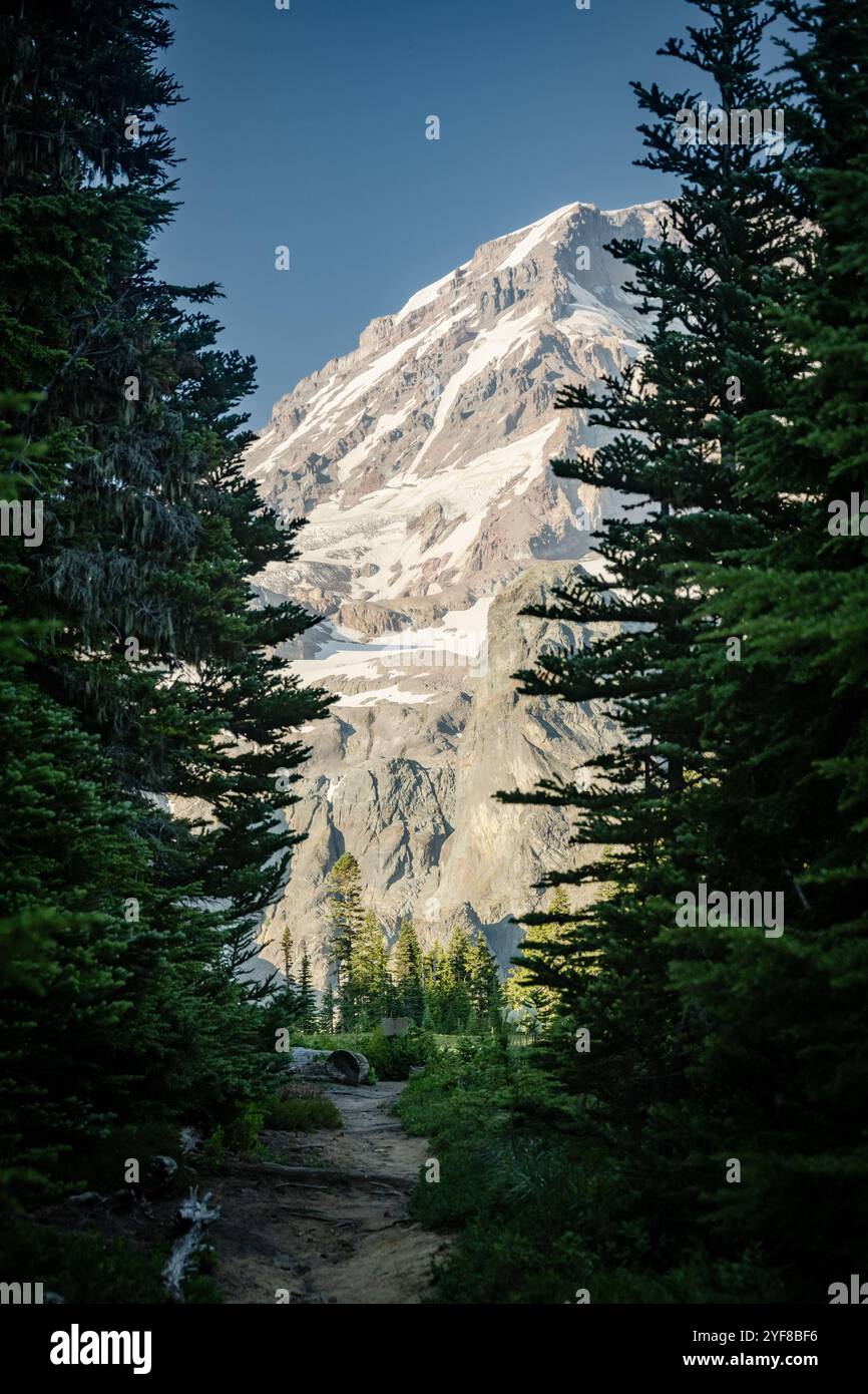 Couvert de neige, le mont Rainier se dresse au-dessus du parc Klapatche en été Banque D'Images