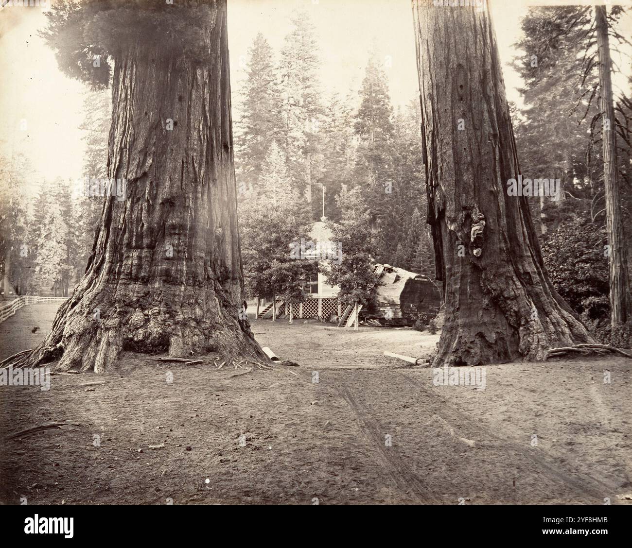 Les Sentinelles, Yosemite photographiées par Carleton Watkins en 1872. Il a été un pionnier de la photographie de paysage grand format utilisant un énorme appareil photo qui utilisait des négatifs en verre 18x22 pouces. Son loaction préféré était Yosemite Vallley à Califonia et ses photos de la vallée ont été un facteur important dans la décision du gouvernement américain de la préserver en tant que parc national. Banque D'Images