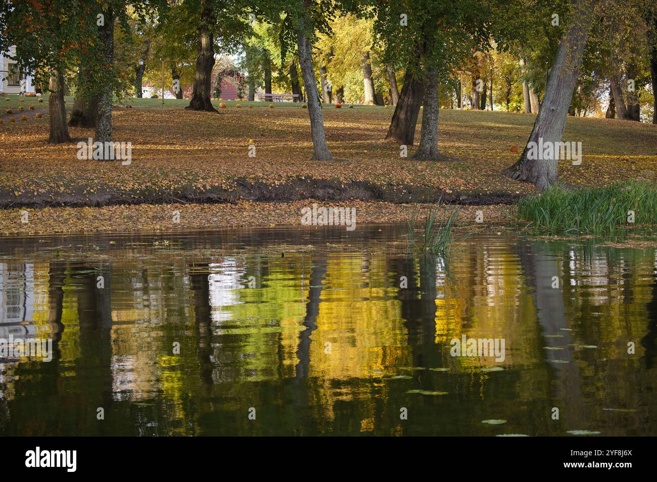 Scène automnale tranquille avec feuillage coloré reflété dans une rivière calme dans un parc pittoresque. Cadre idéal pour des moments de paix et de détente en plein air Banque D'Images