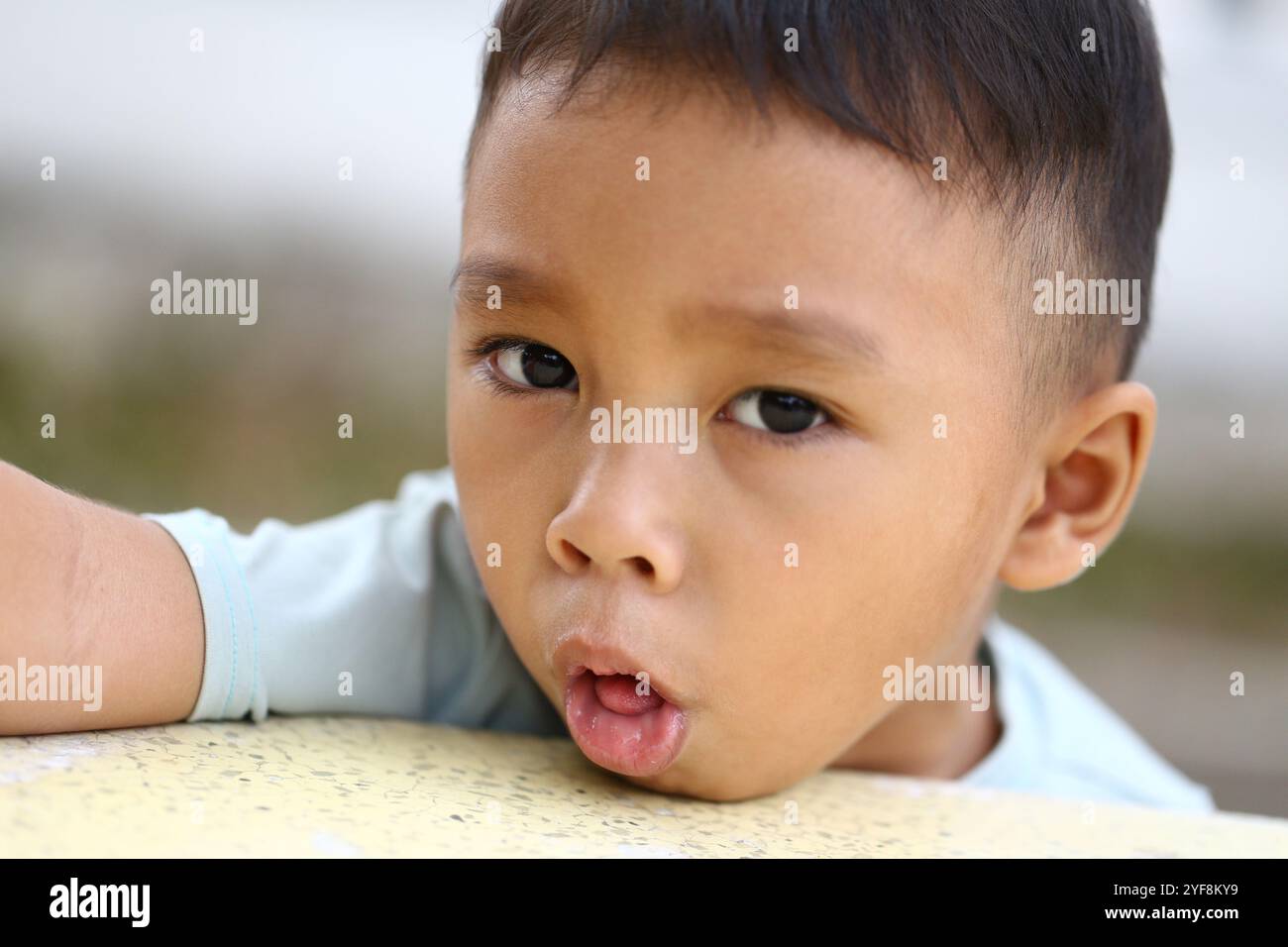 Portrait rapproché d'un jeune garçon curieux avec une expression ludique, capturant l'essence de la joie et de l'innocence de l'enfance dans un cadre naturel. Banque D'Images