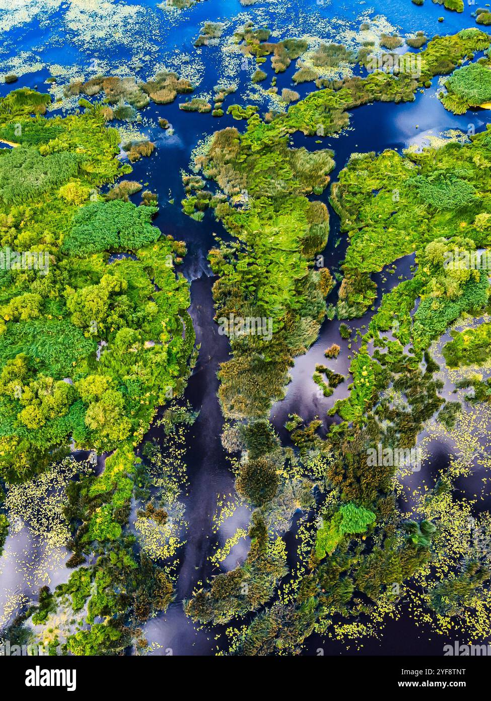 Vue aérienne de la rivière venteuse drone , croix , et d'idées comme de l'eau moyens tournant à travers prairies d'herbe verte et luxuriante vallée de montagne flux cross Banque D'Images