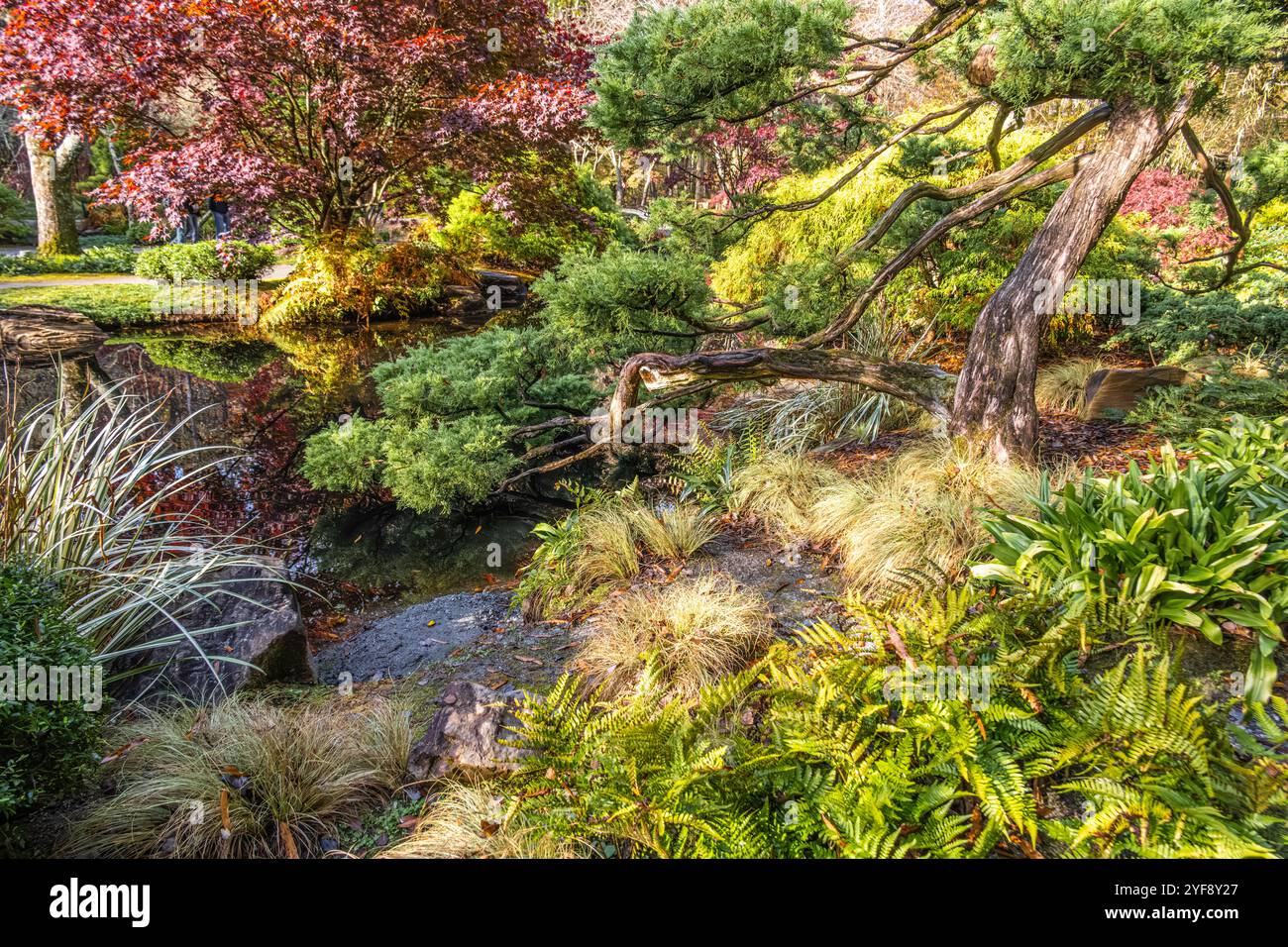 Jardin japonais dans les jardins Gibbs de classe mondiale à Ball Ground, Géorgie. (ÉTATS-UNIS) Banque D'Images