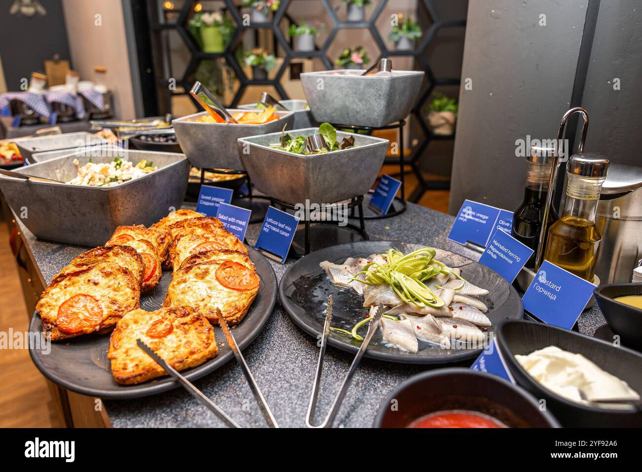 Buffet de luxe avec assortiment de fromages, poisson et salades fraîches à l'hôtel Banque D'Images