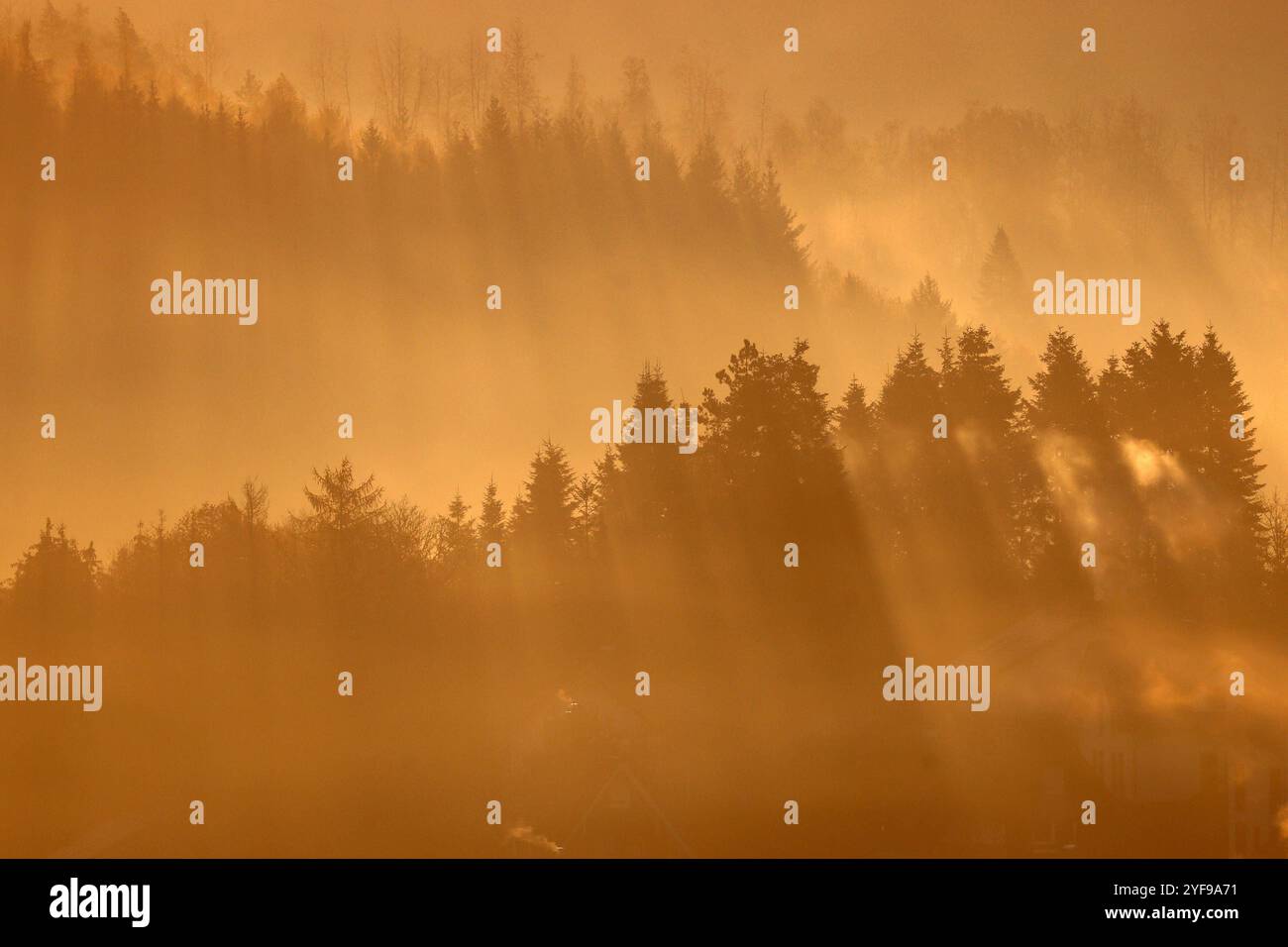 Herbstmorgen im Siegerland. Nach einer Kalten Nacht liegt Nebel ueber über dem Ort Siegen-Oberschelden. Die sonne ist aufgegangen und beleuchtet im Gegenlicht den Ort, Wald und Nebel. Herbst im Siegerland AM 04.11.2024 à Siegen/Deutschland. *** Matin d'automne à Siegerland après une nuit froide, le brouillard coule sur le village de Siegen Oberschelden le soleil s'est levé et illumine le village, la forêt et le brouillard en contre-jour automne à Siegerland le 04 11 2024 à Siegen Allemagne Banque D'Images