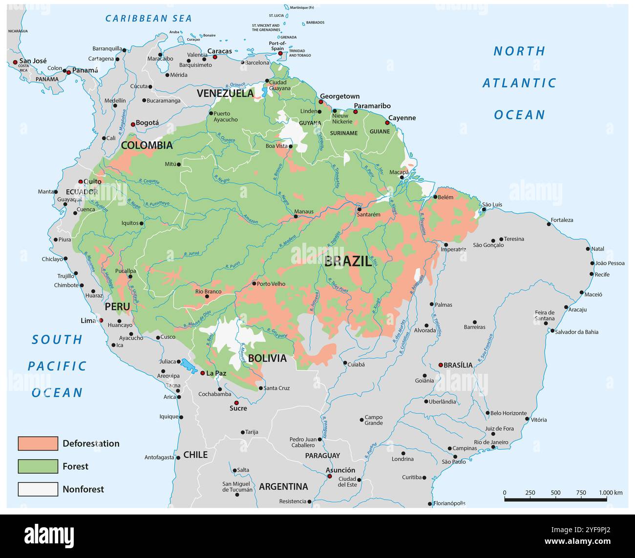 Carte de l'état de la forêt amazonienne Banque D'Images
